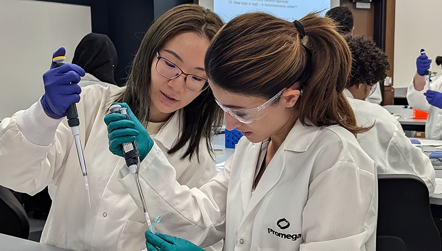 molecular technologies lab orientation